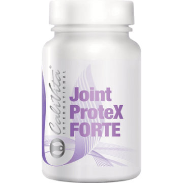 JOINT PROTEX FORTE